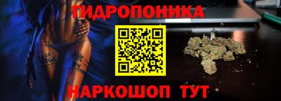 мдма Камышлов