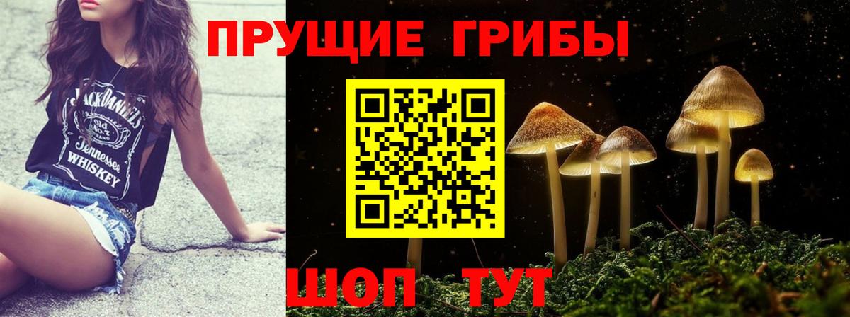 Галлюциногенные грибы мухоморы Кузнецк