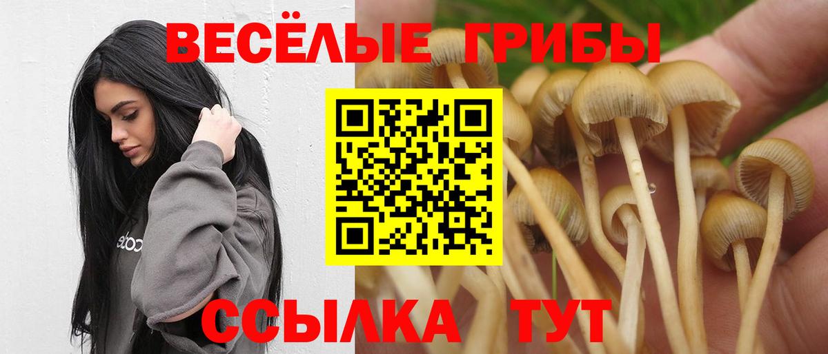 Кузнецк  Псилоцибиновые грибы Psilocybe  как найти закладки  Вход с VPN  Псилоцибиновые грибы MAGIC MUSHROOMS 